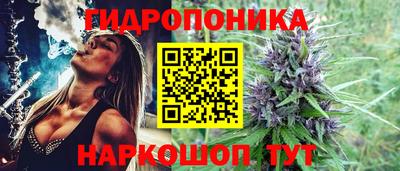 прущие грибы Иваново