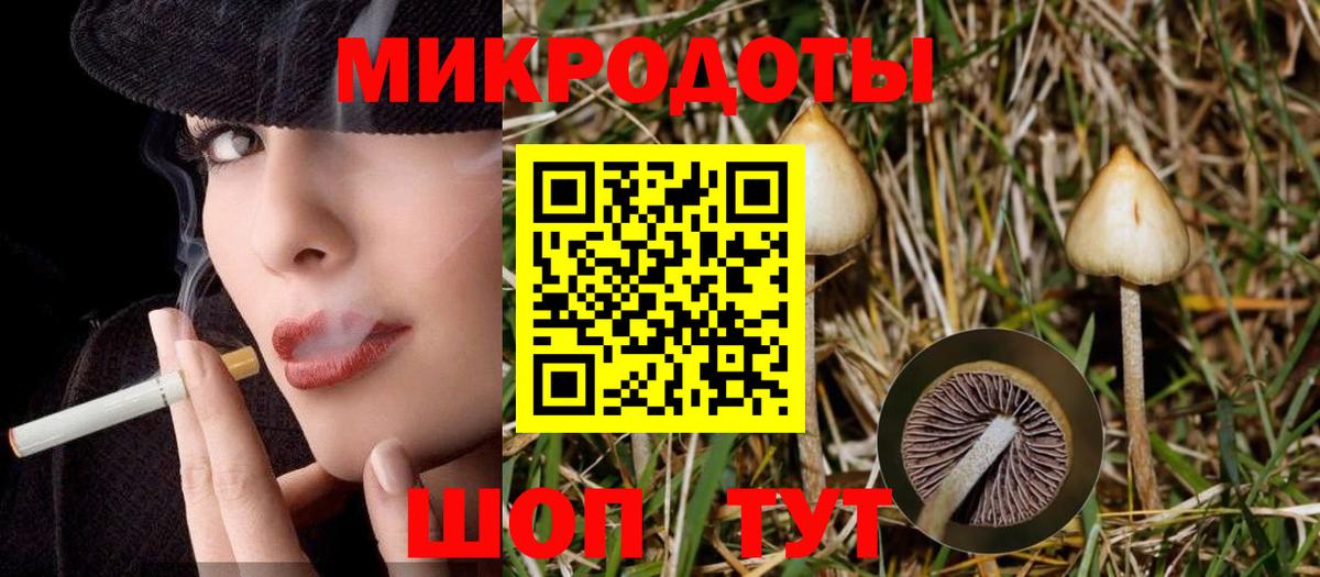 Псилоцибиновые грибы Magic Shrooms Воскресенск